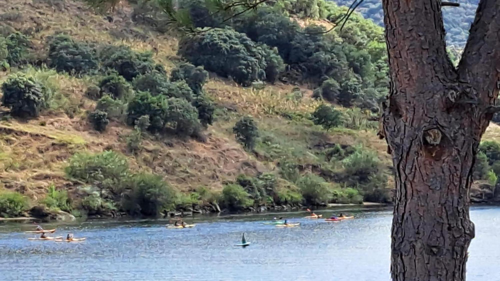 Quinta Do Rijo Villa Torre De Moncorvo Dış mekan fotoğraf